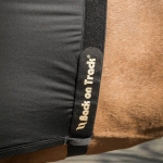 Back On Track Horse Shoulder Guard / Anti Rub Vest 